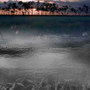 Ancient Gaze by Jing Zhou