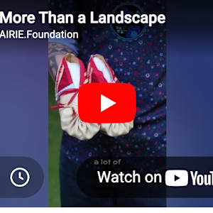 More Than a Landscape by David Rahahę·tih Webb, Image 1.