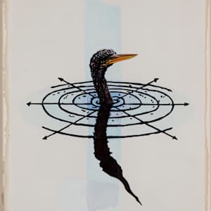 Oscellation Study (Anhinga) by Christopher Reiger