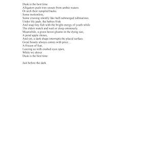 Anhinga Trail by Donna Marxer