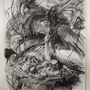 Anhinga and Chicks by Rachel Gray