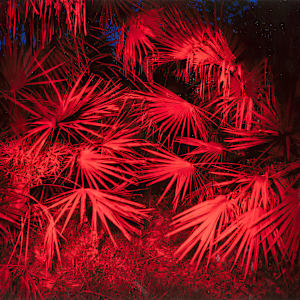 Untitled by Alan Winslow