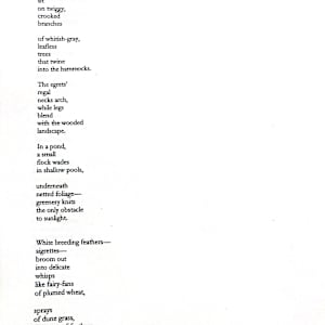 Poetry Submission by Mary Kate Azcuy 