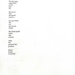 Poetry Submission by Mary Kate Azcuy 