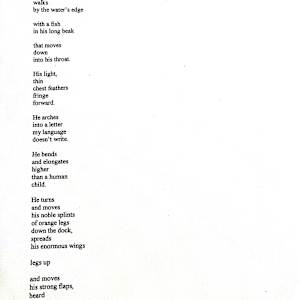 Poetry Submission by Mary Kate Azcuy 