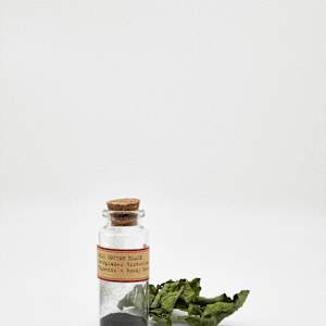 Everglades Historical Pigments series by Francisco Maso, Image 1.