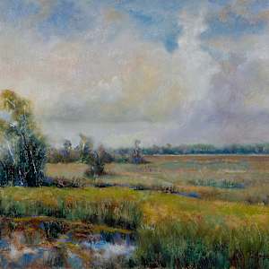 Everglades Landscape by Joseph Palmerio