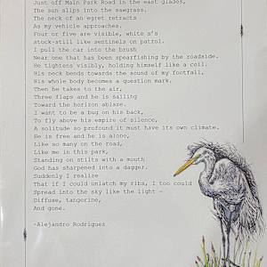 Sundown by Alejandro Rodriguez