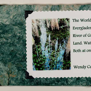 The World's Only Everglades ~ River of Grass: Land. Water. Both at Once by Wendy Call
