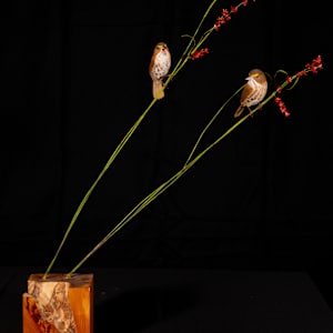 Cape Sable Sea Side Sparrows by Elizabeth Poppy