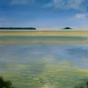 High Tide II Florida Bay by Donna Marxer
