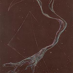 Ibis hand by Charles Meyers