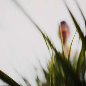 Untitled by Dale Andree