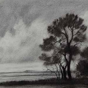 Cape Sable by Ailyn Hoey