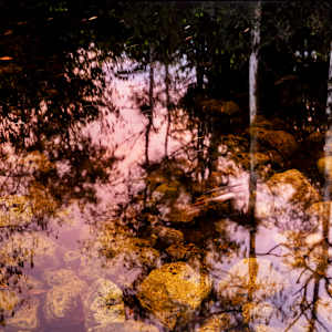 Mirrored Worlds, The Four Moments of the Sun Series by Jeanine Michna-Bales