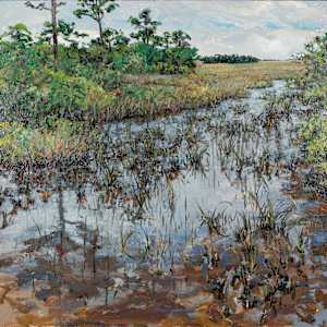 Mahogany Hammock Pine Tree Reflection by John Louder