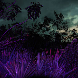 Untitled by Cornelius Tulloch