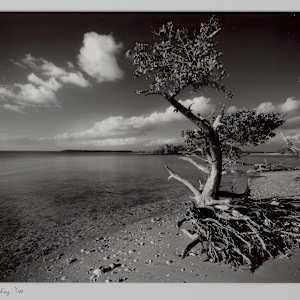 New Turkey Key by Cameron Gillie