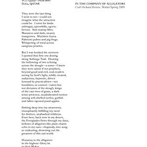 In the Company of Alligators by Diana Woodcock