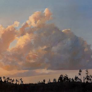 May First in Everglades by Diane E. Wilkinson