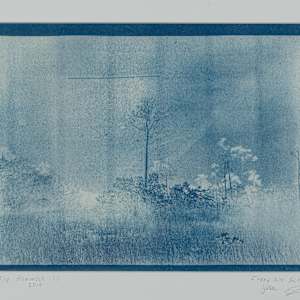 The Hammock by Itamar Freed, Courtney Scheu