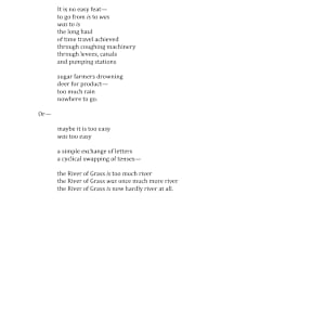 Everglades Anthropocene by Brenna Dixon