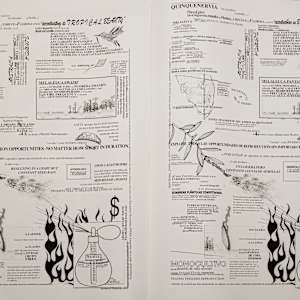 Two Field Guides to Invasive Species by Rachel Johnson