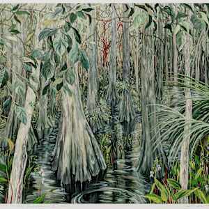 Gumbo-Limbo by Jane Abrams