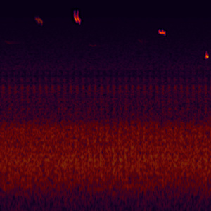 Distant Bats(for skip snow) by Gustavo Matamoros