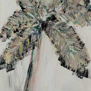 Flamingo by Charles Baroody