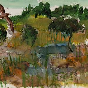 Osprey and Watery Prairie by Shannon Bueker