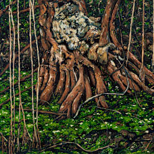 Solution Hole on Gumbo Limbo Trail by Kristin Gjerdset