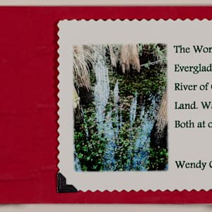 The World's Only Everglades ~ River of Grass: Land. Water. Both at Once by Wendy Call