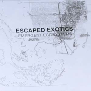 Two Field Guides to Invasive Species by Rachel Johnson