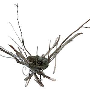 Mosquito Shrine by Venus Jasper