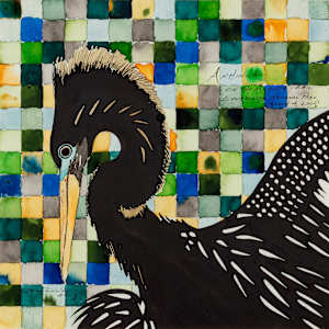 Plaid Anhinga by Frank Duval
