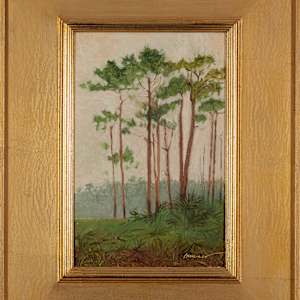 Long Pine Key, Slash Pines by Christine Brenner