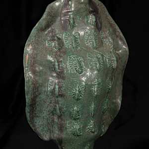 Alligator Motion by Judith Greavu