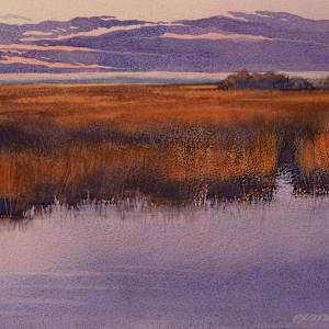 Everglades Dawn by Marilynn Brandenburger