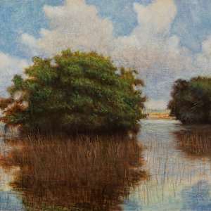 Nine Mile Pond by Christopher Castelli