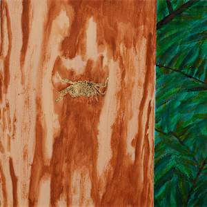 Tree Crab by Pedro Lujan