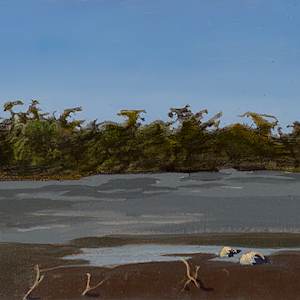 Florida Bay by Bill Brody