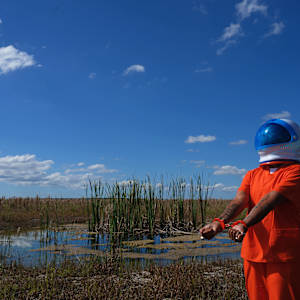 Land of the FREE? - Home of the BRAVE by Lola Flash