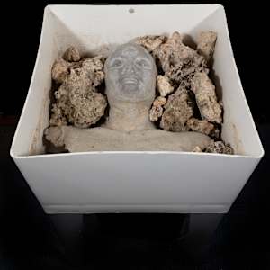 Portrait of Everglades by Itamar Freed, Courtney Scheu