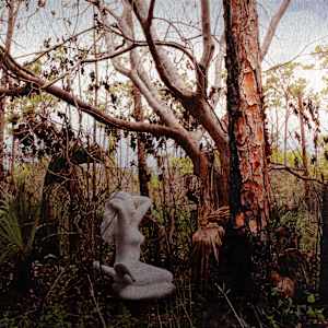 The Nature of Things by Keren Anavy, Tal Frank