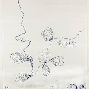 Everglades Maps by Alice Raymond