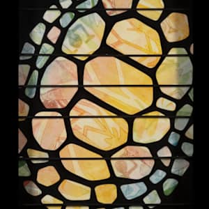 Sea Turtle by Anita Dallar