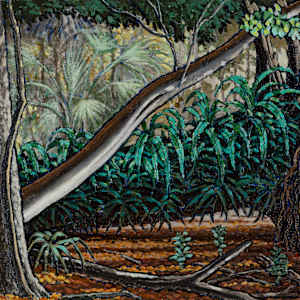 Mahogany Nurse Log by Jerry Cutler