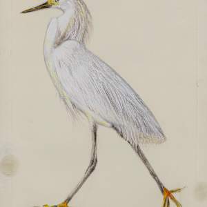 Too Cool for My Yellow Slippers by Diane E. Wilkinson