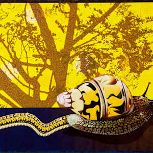 Blazing Trail by Kathy Garvey